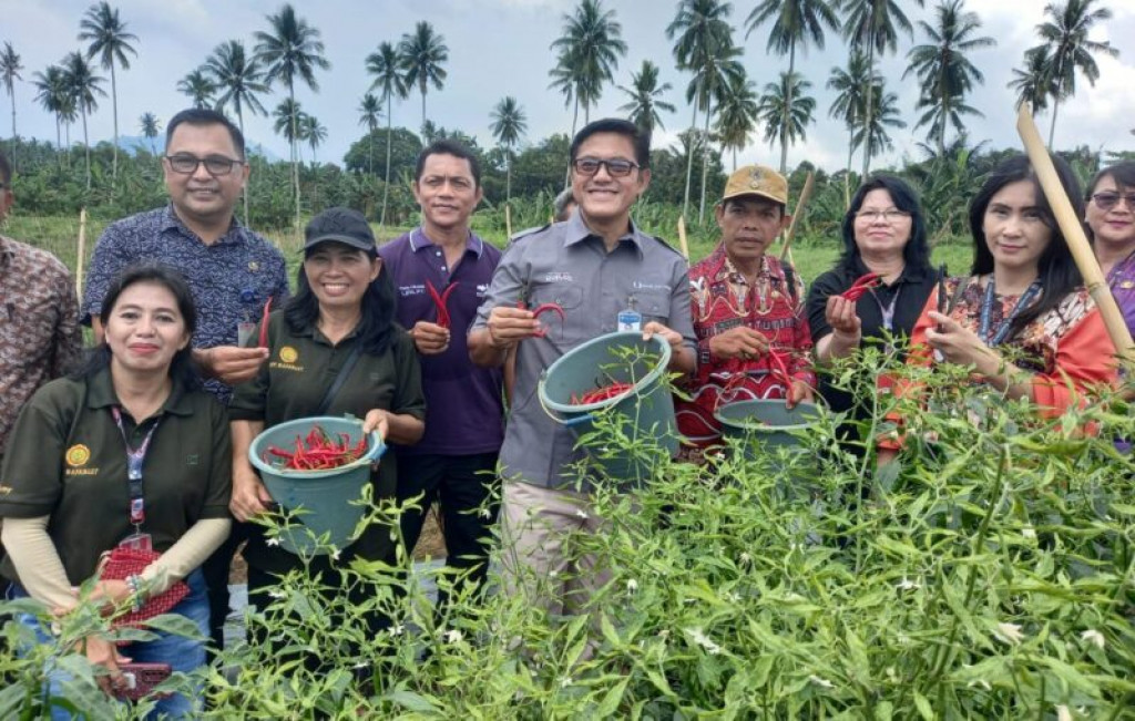 BI Dukung Petani Tingkatkan Produksi Cabai di Manado dan Minut