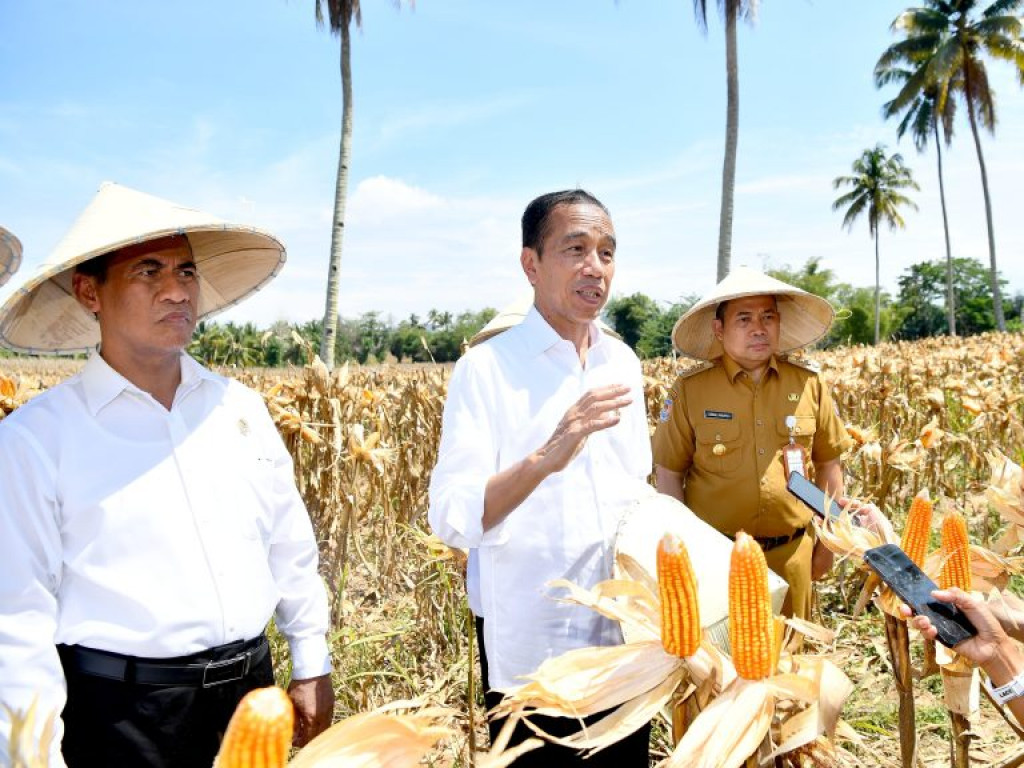 Jokowi Dorong Peningkatan Produksi dan Kesejahteraan Petani di Boalemo
