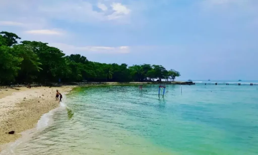 Masyarakat Pantai Tanjung Lesung Panimbang Pandeglang Buru Kerang Remis