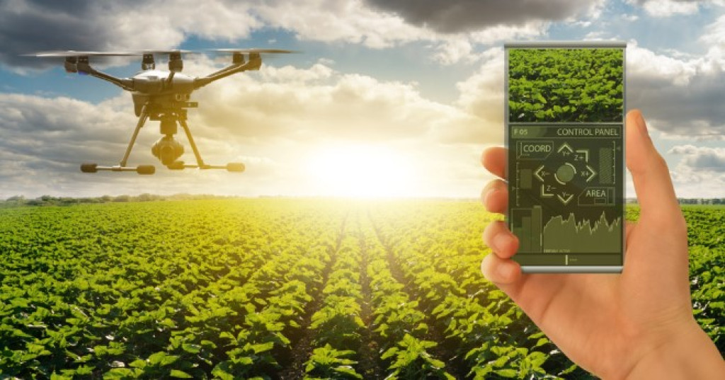 AI Geser Pekerjaan Manusia, Ini Profesi yang Paling Terpapar