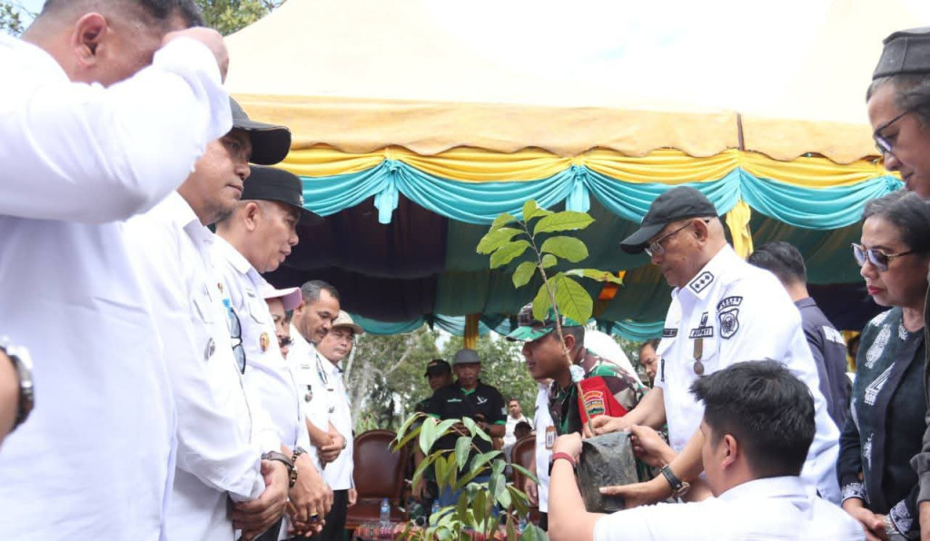 Bupati Dairi Lakukan Penanaman 5 Ribu Pohon di Karing