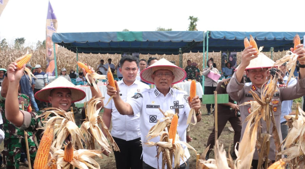Bupati Dairi Panen Raya Jagung di Lahan Binaan Polres Dairi