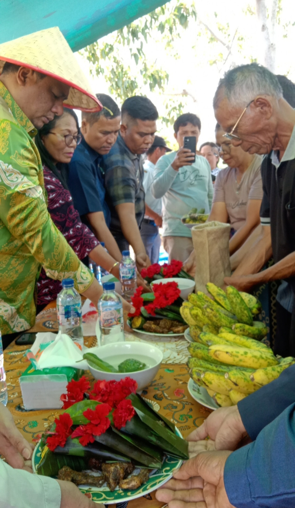 Bupati Samosir Lakukan Tanam Perdana Benih Bawang Putih Guna Dukung Wujudkan Swasembada Bawang Putih
