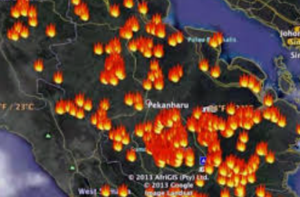 Dampak El Nino Ekstrem dan Buruknya Tata Kelola, WALHI Ungkap 11 Ribu Titik Panas di RI