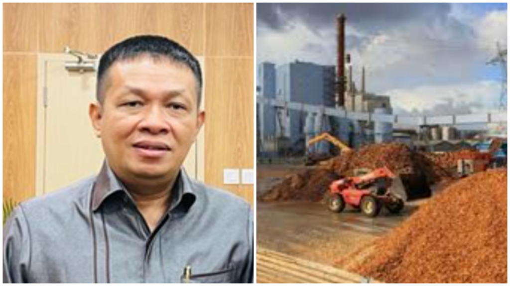 Dukung Ekosistem Baru EBT, ALPERKLINAS Dorong Optimalisasi Pemanfaatan Biomasa Pembangkit Listrik