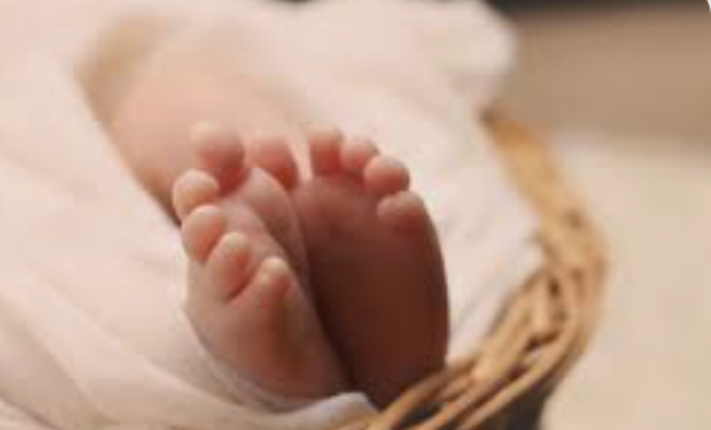 Heboh Nama Bayi Ali Khamenei, Kedubes Iran Sambangi Keluarga di Riau