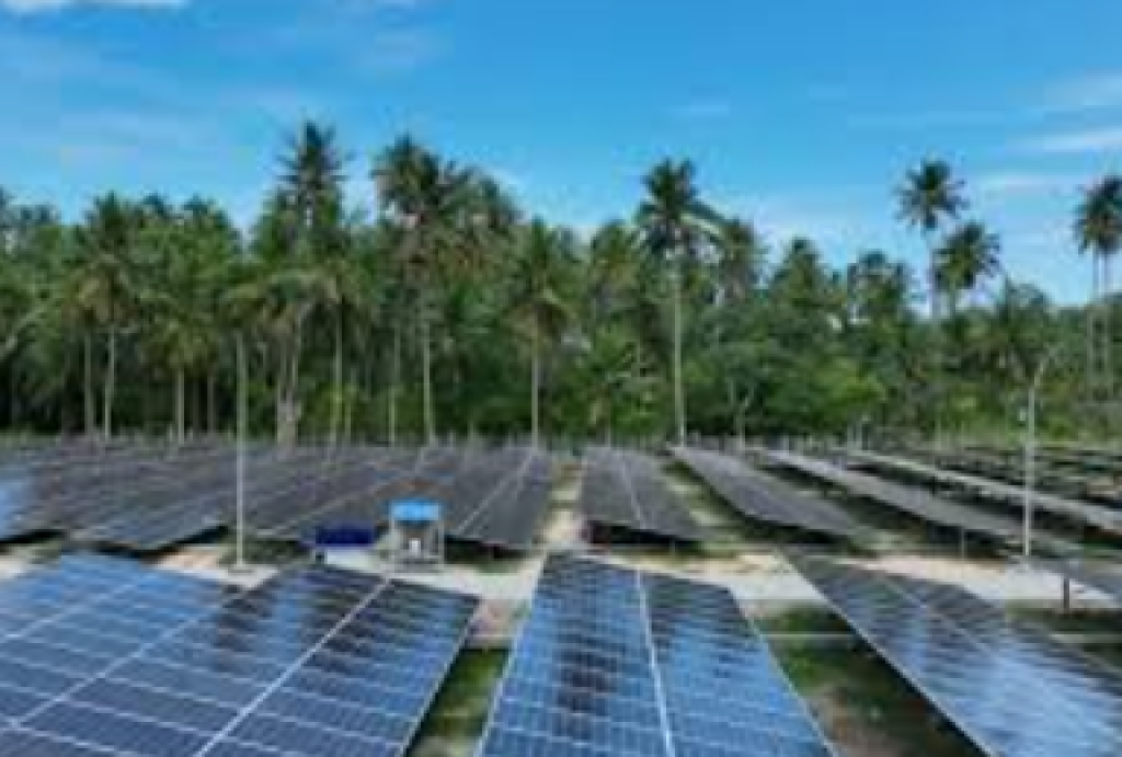 IEEFA: Program PLTS Prabowo Bisa Menghemat Rp62 Triliun per Tahun