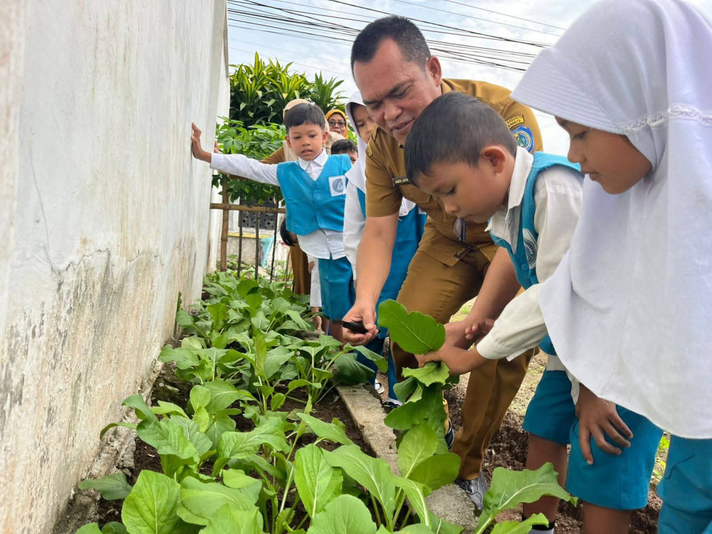 Menanam Karakter di Kebun Sekolah: Cerita Seru Siswa TK Pembina Rantauprapat Panen Hasil Bumi