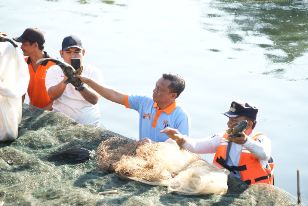 Munjirin Pimpin Operasi Penangkapan Ikan Sapu-Sapu, 320 Kg Terkumpul di Waduk Kaja