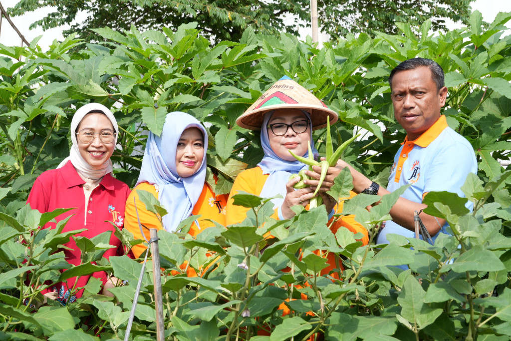 Panen Kedua Melon Urban Farming, Pemkot Jaktim Dorong Ketahanan Pangan di Tengah Ancaman El Nino