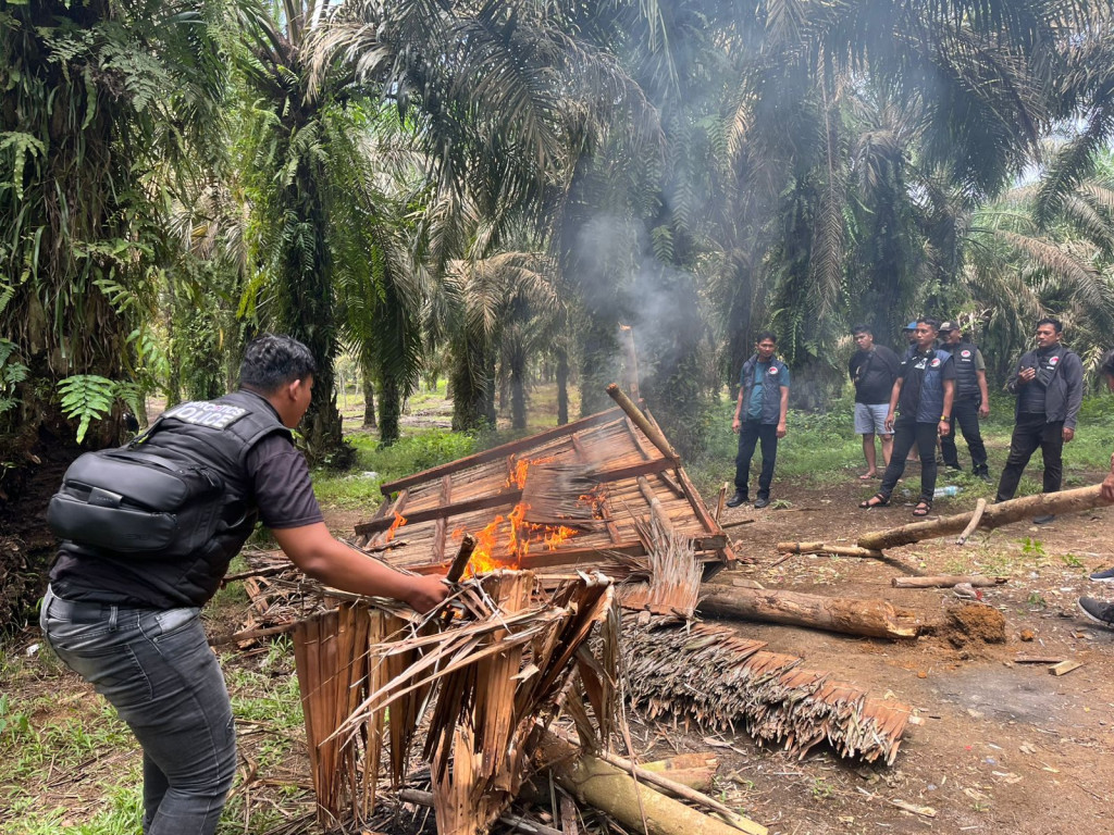 Polres Binjai Kembali Grebek Dan Musnahkan Barak Narkoba Di Kecamatan Selesai