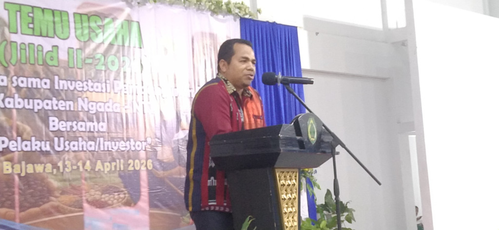 Romi Juji Sebut Potensi dan Kekayaan di Ngada Butuh Sentuhan Investasi