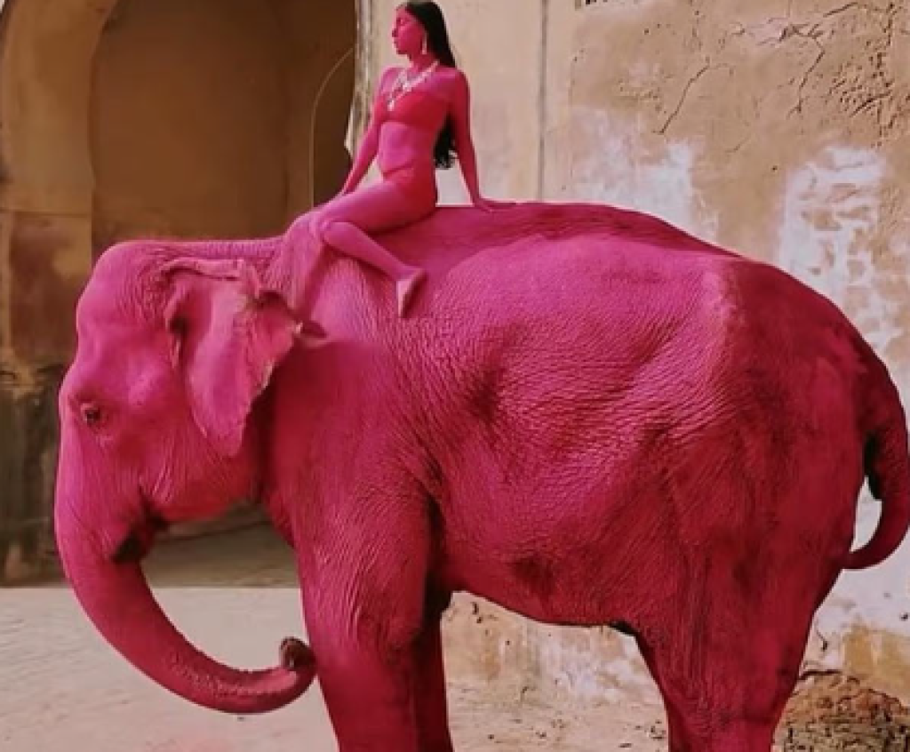 Viral Gajah Pink Berujung Duka, Chanchal Mati dan Picu Kontroversi Global