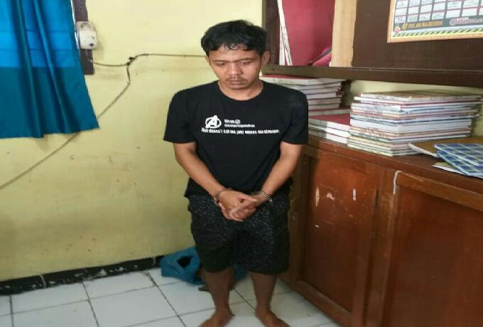 Lagi, Polres Taput Tangkap 1 Orang Tersangka Baru Kasus Pembawa Ganja 30.5 Kg