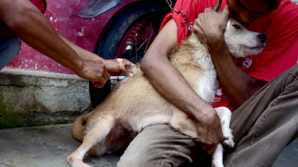 Cegah Rabies, Gubernur NTT Minta Warga Wajib Vaksinasi Anjing Peliharaan