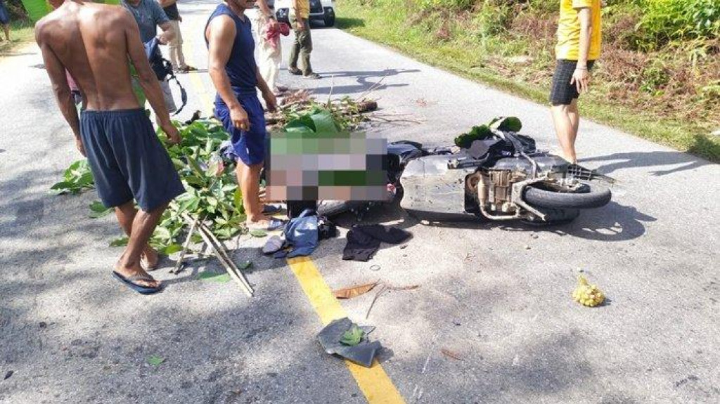 Wanita 23 Tahun Tewas dalam Kecelakaan Maut di Jalan Trans Kalimantan