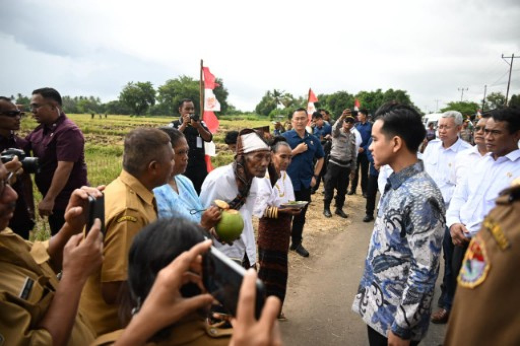 Percepat Swasembada Pangan, Wapres Raka ke NTT Temui Petani Kolisia Sikka