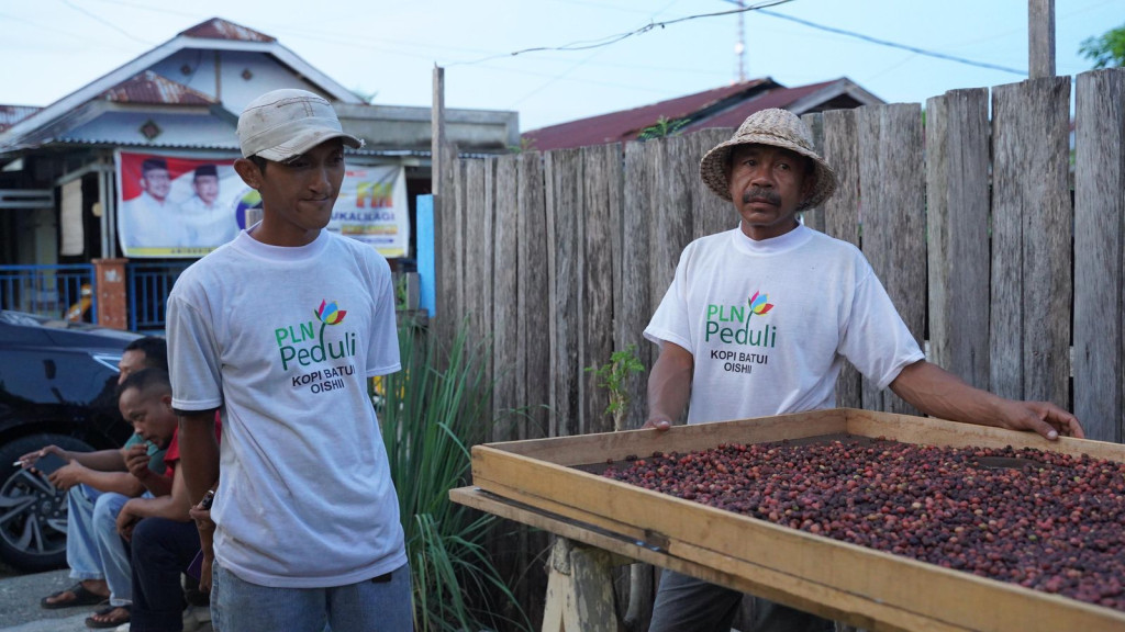 Cerita di Balik Aroma Kopi Oishii: Transformasi Ekonomi UMK Batui Bersama PLN UIP Sulawesi