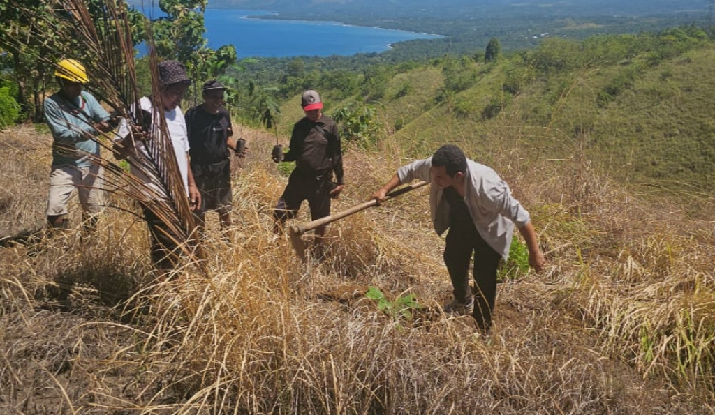 Dari Lahan Mati Jadi Ladang Harapan! Kelompok Tani Solidaritas Ubah Bhogipole Jadi Kawasan Pertanian Masa Depan