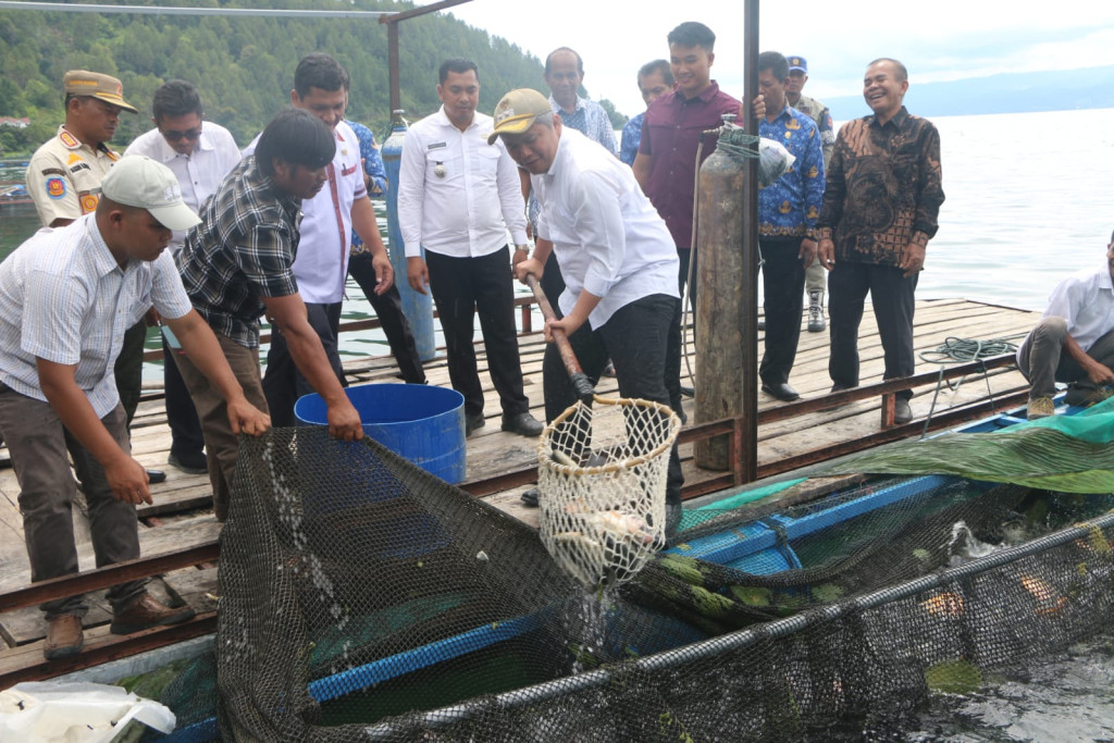 Dr Deni P Lumbantoruan Lakukan Panen Raya Ikan Nila KJA Milik BUMDesa Saurdot di Muara
