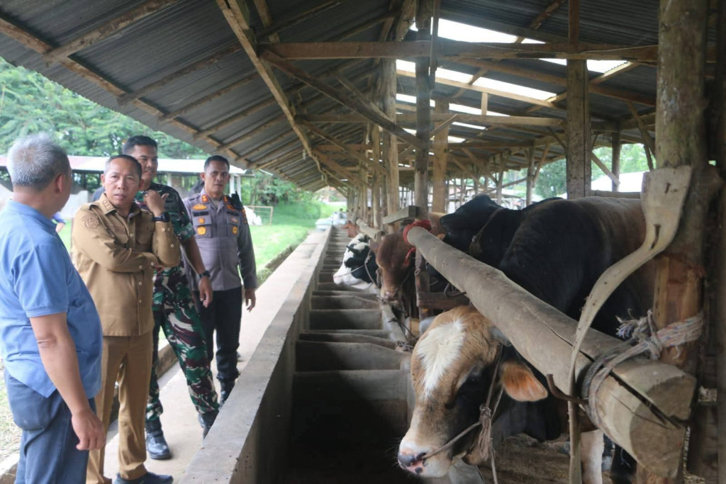 Forkopimda Tinjau Kawasan Integrated Farming di Siborongborong