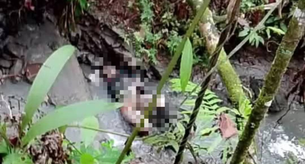 Geger Penemuan Mayat Siswi SMK di Nias Utara, Diduga Korban Pembunuhan