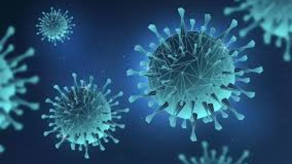 Kasus Ebola di Afrika Mengganas, WHO Buka Suara Soal Risiko Pandemi