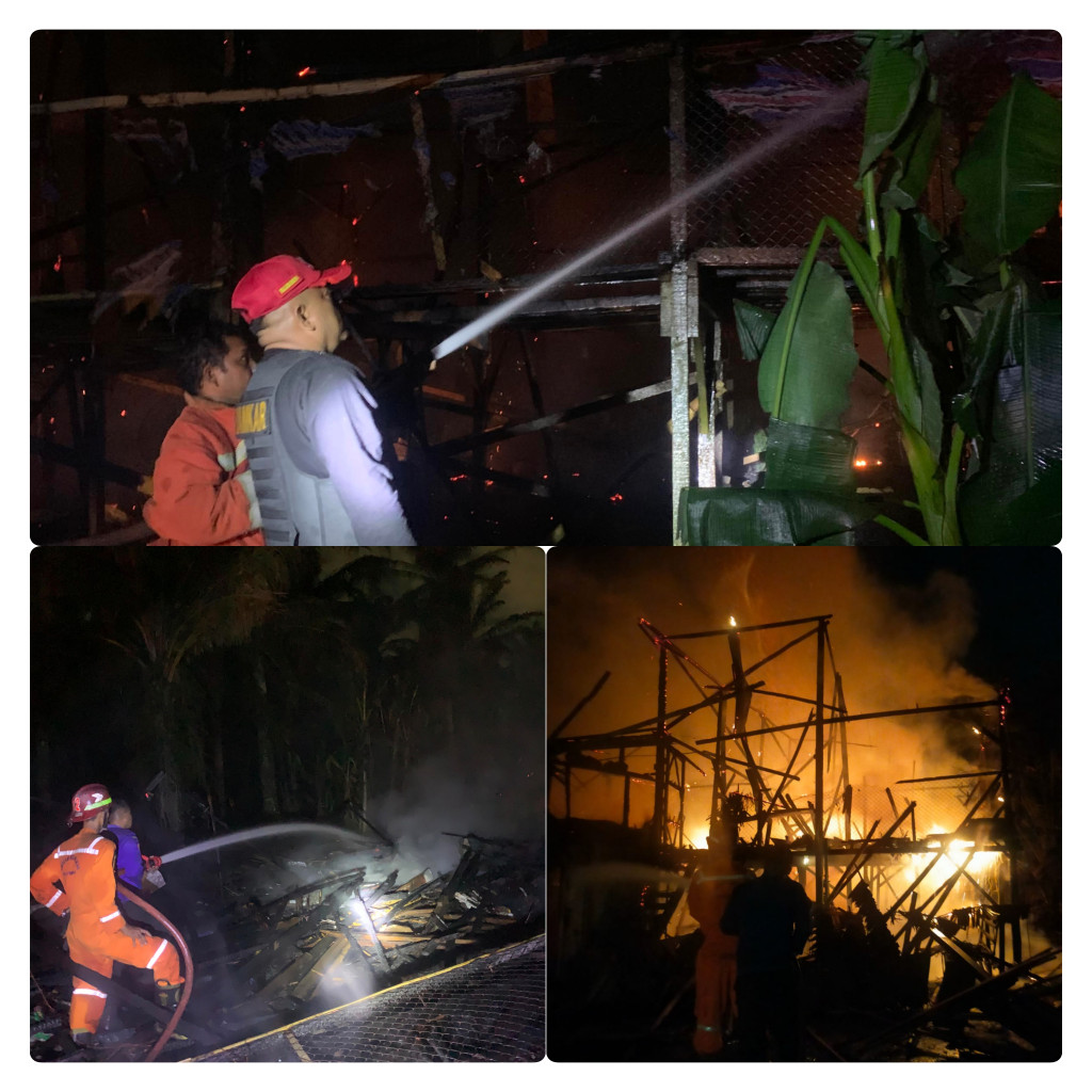 Kebakaran Hanguskan Kandang Ayam, Kerugian Capai Rp 200 Juta di Binjai Selatan