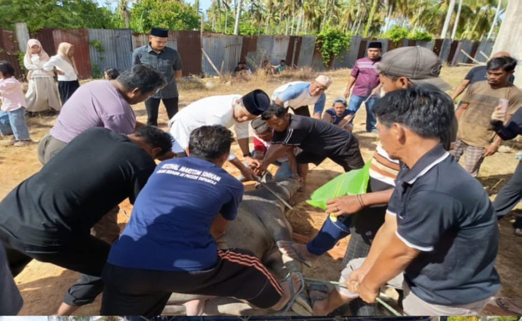 Kepala Desa dan BKM Al-Ihklas Pasar Sorkam Lakukan Penyembelihan Hewan Qurban