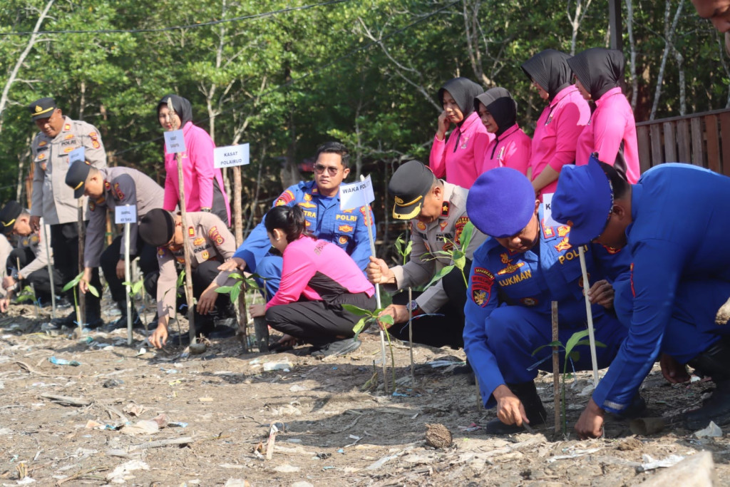 Menjelang HUT Bhayangkara ke-80, Ditpolairud Polda Jambi dan Polres Tanjab Barat Tanam 2.000 Mangrove serta Tebar 2.000 Bibit Ikan