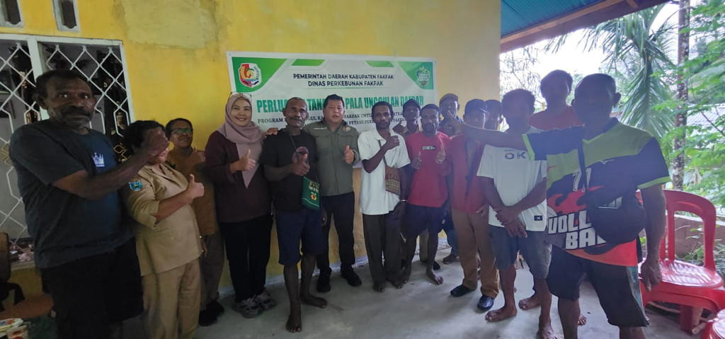 Pemkab Fakfak Perluas 50 Hektare Kebun Pala, Kuatkan Program Pala Unggul