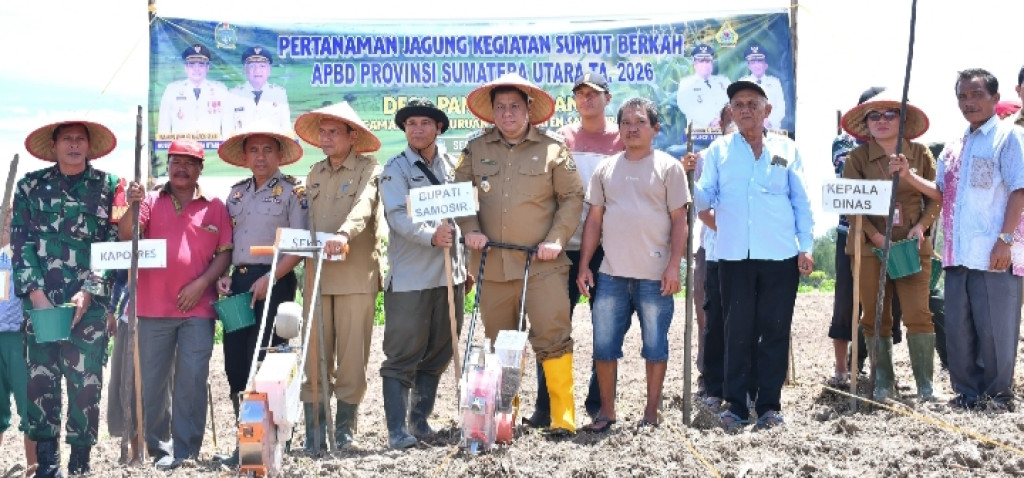 Pemkab Samosir Dapat Dukungan 600 Kg Bibit Jagung, Kedepannya di Targetkan Produktivitas Jagung 10 ton/ Hektar