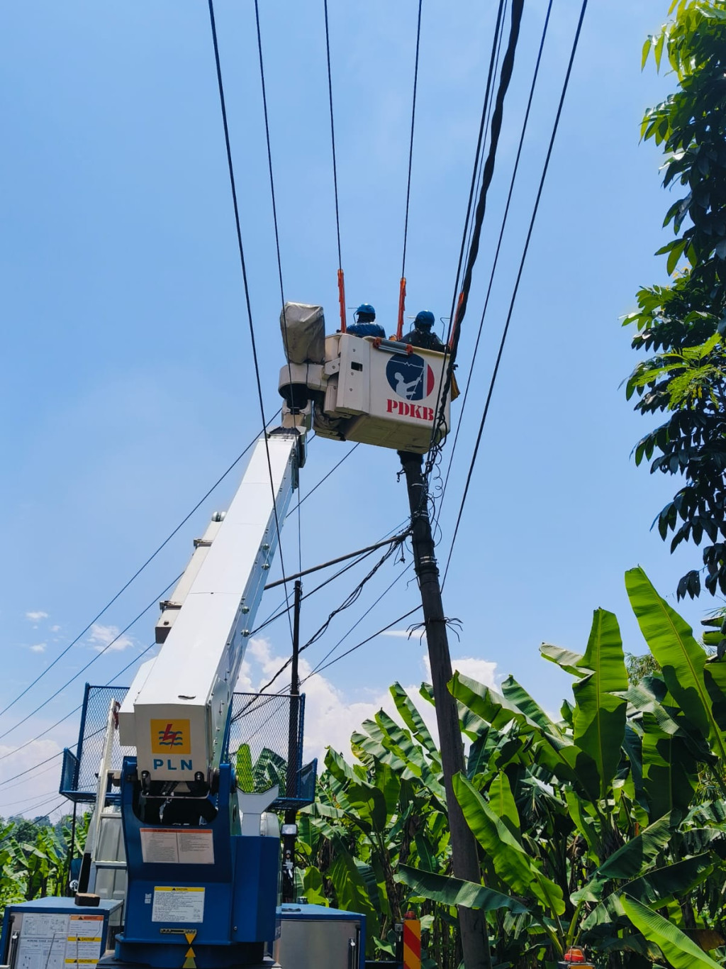 PLN Gunung Putri Lakukan Pemeliharaan JTM untuk Tingkatkan Stabilitas Pasokan Listrik