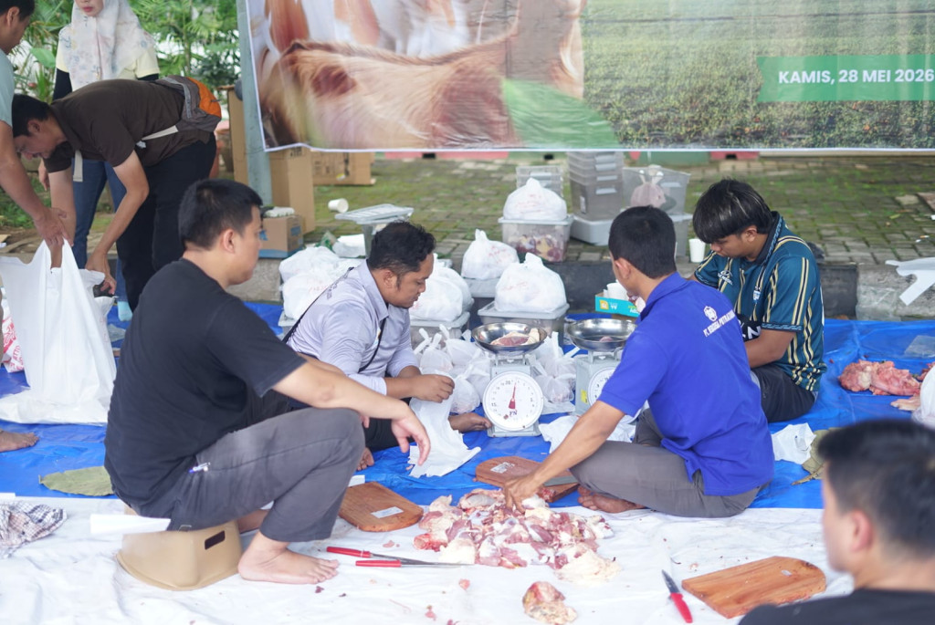 PLN UP3 Cirebon Tebar Kepedulian Idul Adha 1447 H melalui Penyaluran 9 Sapi dan 1 Kambing Qurban