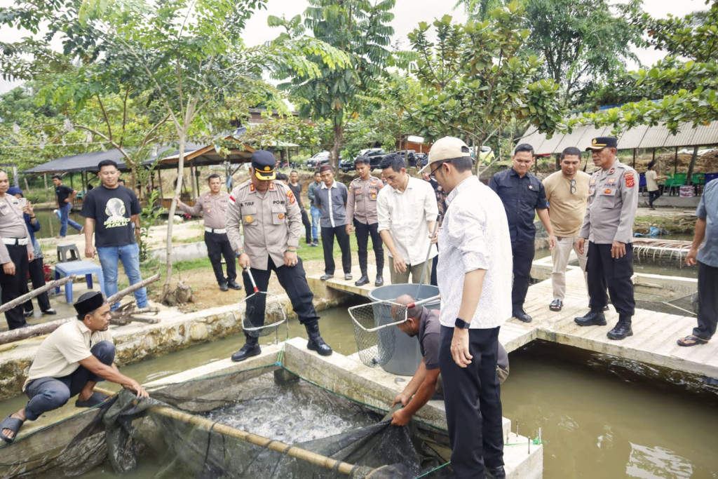 Polres Subulussalam panen perdana ikan lele sebanyak 5000 kilogram.