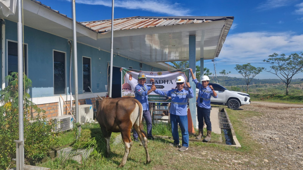 PT BAS Salurkan 7 Sapi dan 5 Kambing Kurban untuk Warga Lingkar Tambang