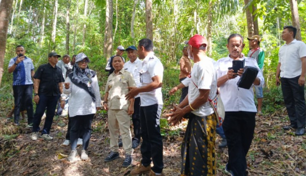 “Pusat Mulai Serius Garap Ngada!” Kementan RI Turun Langsung Pantau Irigasi, OPLAH hingga Bibit Kelapa Unggulan