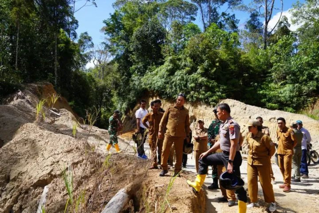 ‎Respons Cepat Keluhan Warga, Bupati JTP Hutabarat Tinjau Jembatan Desa Pardomuan Simangumban