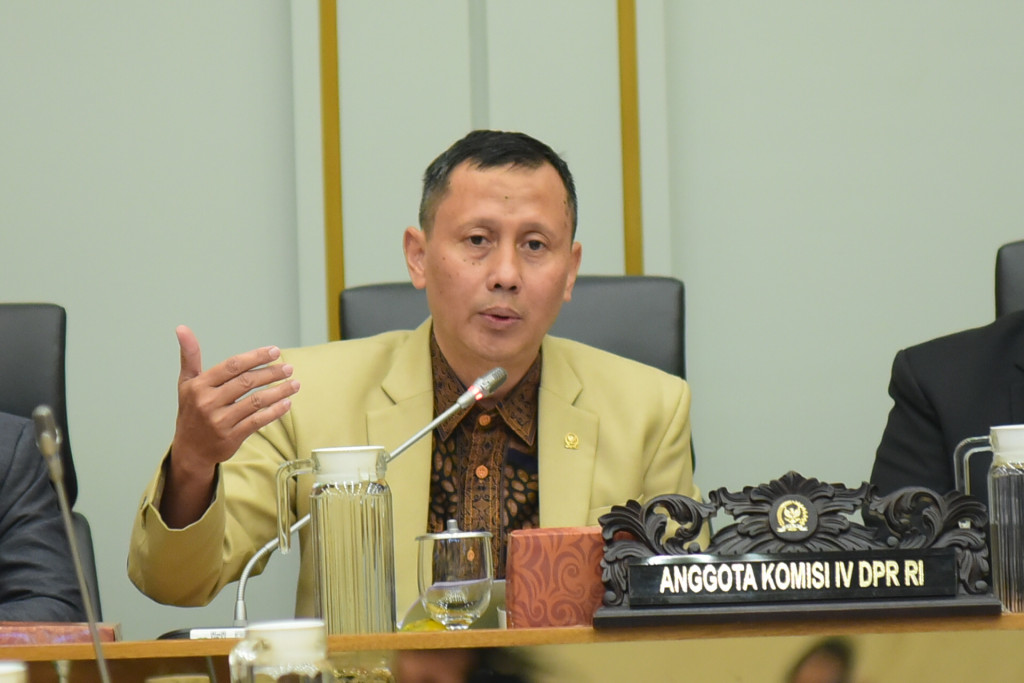 Revisi UU PKH Didorong Perkuat Perlindungan Peternak Lokal di Tengah Program MBG