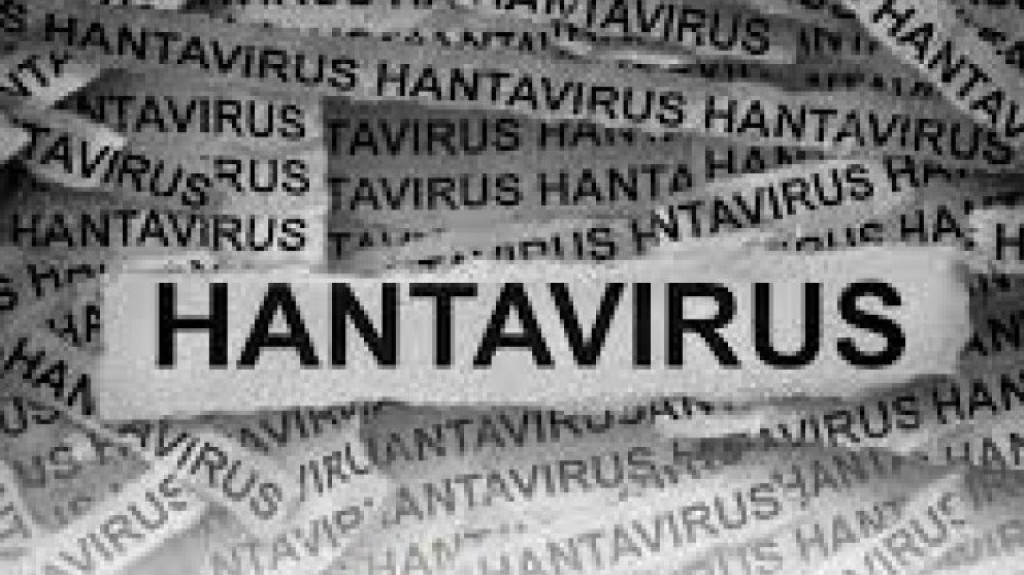 RI Tak Luput Serangan Hantavirus, Ini Jumlah Kasus dan Wilayah Sebaran