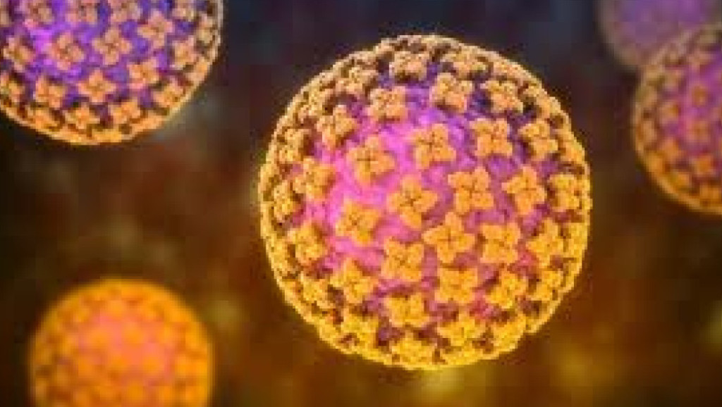 Viral Hantavirus yang Mewabah di Kapal Pesiar Disebut Karena Vaksin Covid