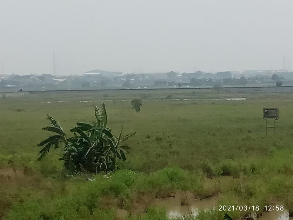 Diduga Kerjasama Dengan Makelar, Pembebasan Tanah Jl. Rorotan Jakut Oleh Dinas Kehutanan DKI Dipertanyakan