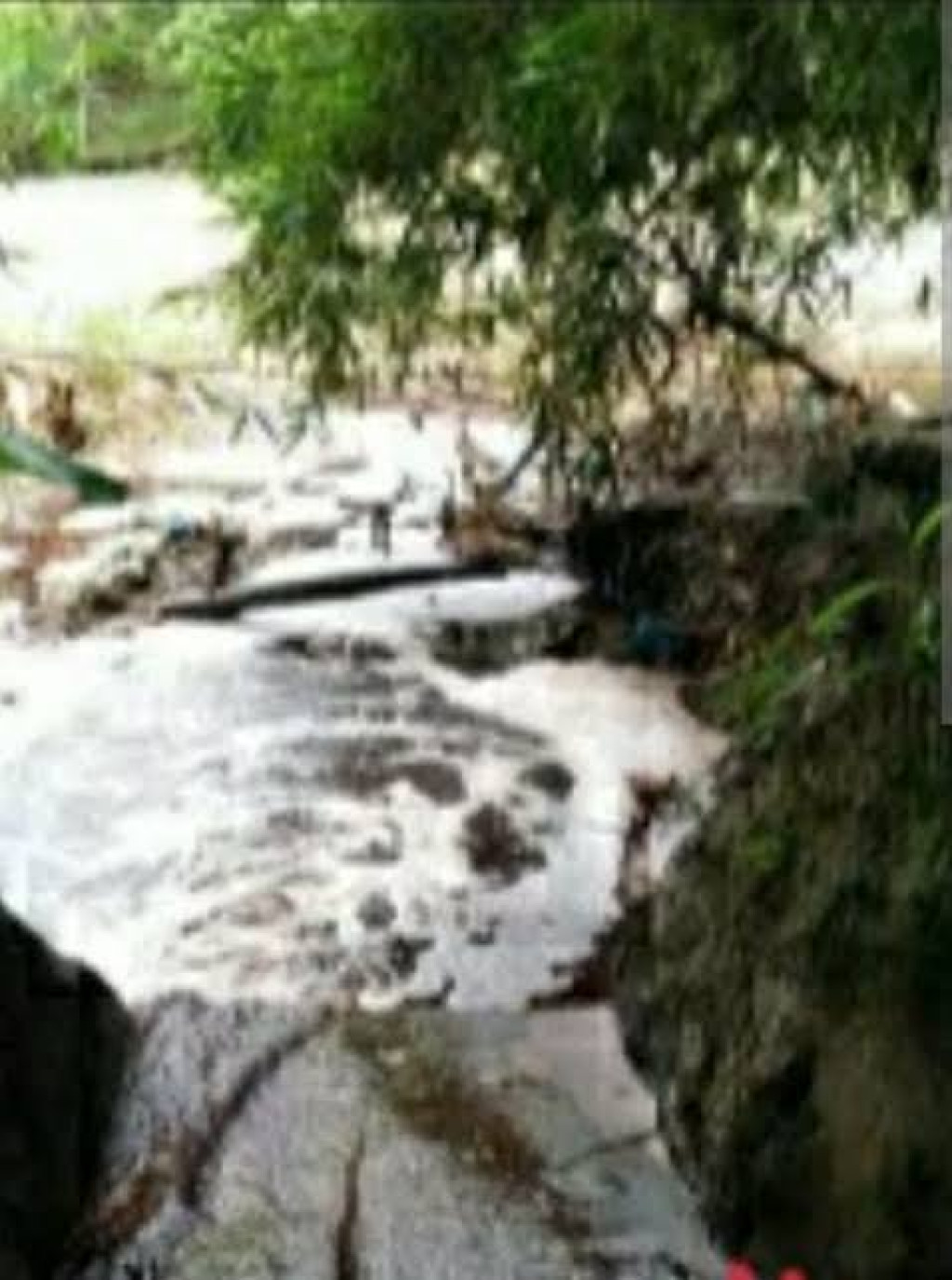 PKS PT. Prima Sauhur Lestari Seminggu Beroperasi,Diduga Buang Limbah ke Aliran Sungai Bah Bolon