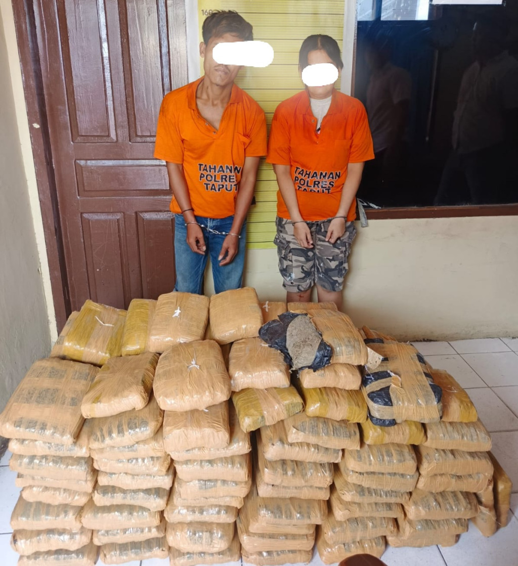 Sat Narkoba Polres Taput  Amankan 2 Kurir Narkoba, 112 Paket Ganja Kering Berhasil di Sita.