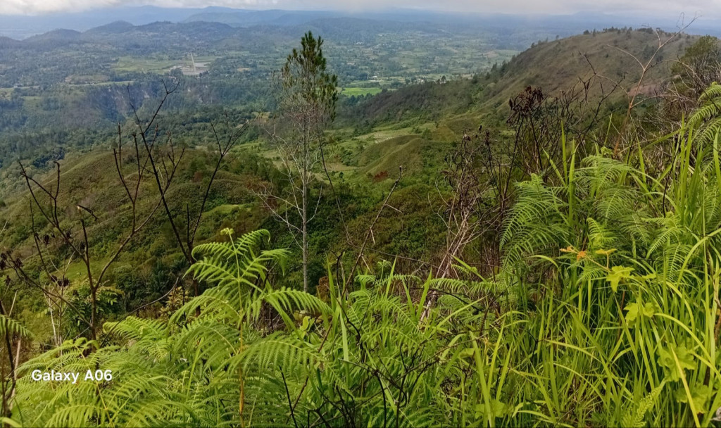 BS Ibu Mantan Bupati Taput Disebut Memiliki Tanah Seluas 1 Hektare di Kawasan Hutan Register Desa Hutaginjang