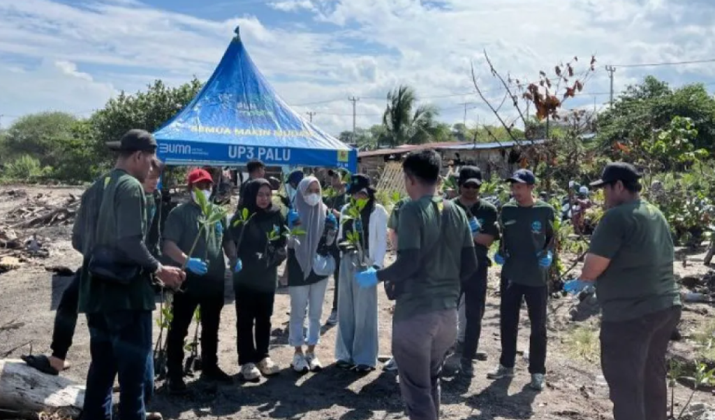 Bukan Cuma Listrik, PLN UP3 Palu Perkuat Ekosistem Pesisir Lewat 1.000 Mangrove