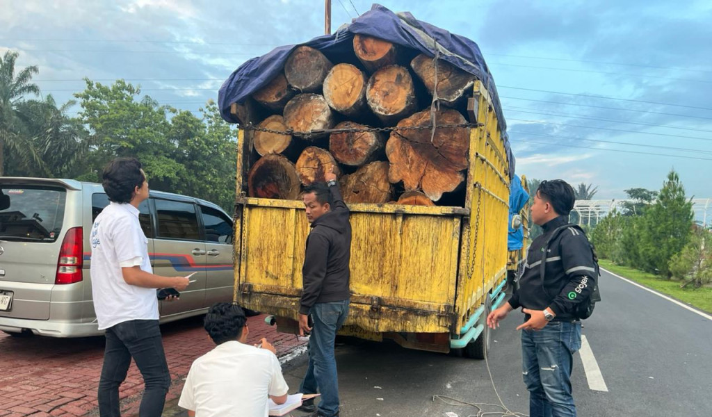 Deninteldam I/BB Bersama Satgas Intelstrat BAIS TNI Tangkap 2 Truk Kayu Gelondongan Diduga Ilegal Asal Parbuluan