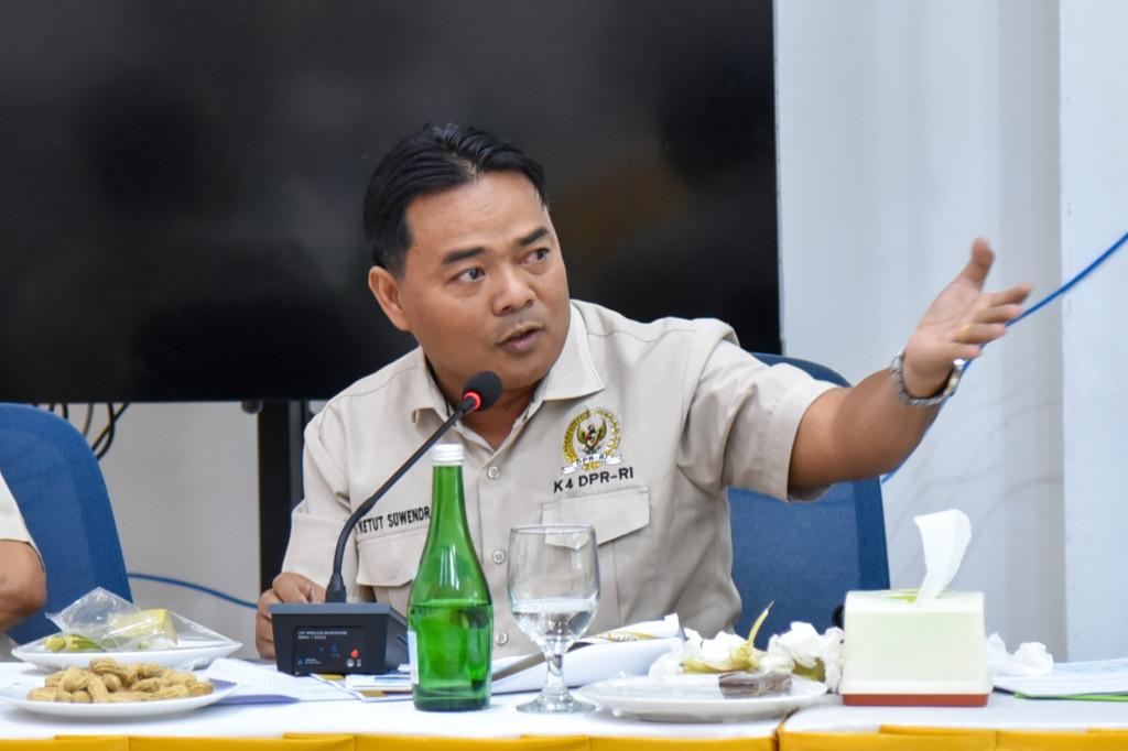 I Ketut Suwendra Minta Revisi UU Kehutanan Perkuat Sanksi Reklamasi Tambang