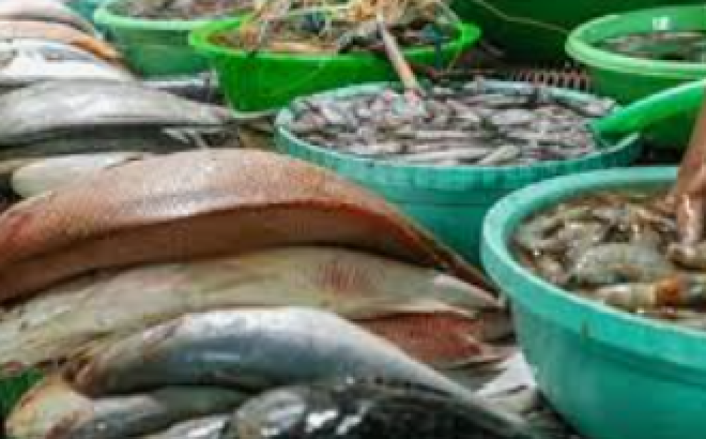 Jangan Asal Makan Ikan, 10 Jenis Ini Ternyata Bisa Mengandung Merkuri Tinggi