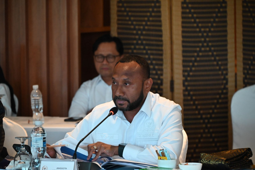 Komisi XIII DPR Soroti Maraknya WNA Salahgunakan Visa Turis untuk Bekerja di Indonesia